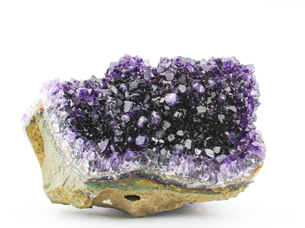Pine Amethyst